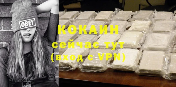 молекула духа Киреевск