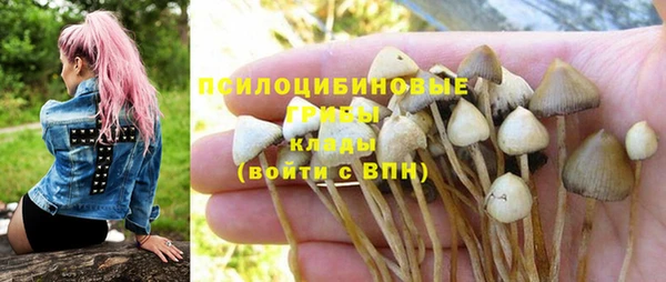 mdma Козловка