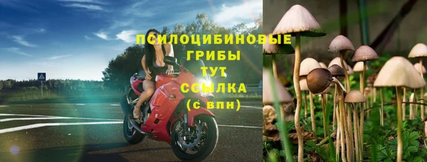 молекула духа Киреевск